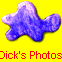  Dick's Photos 